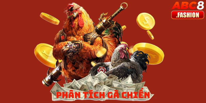 Phân tích gà chiến