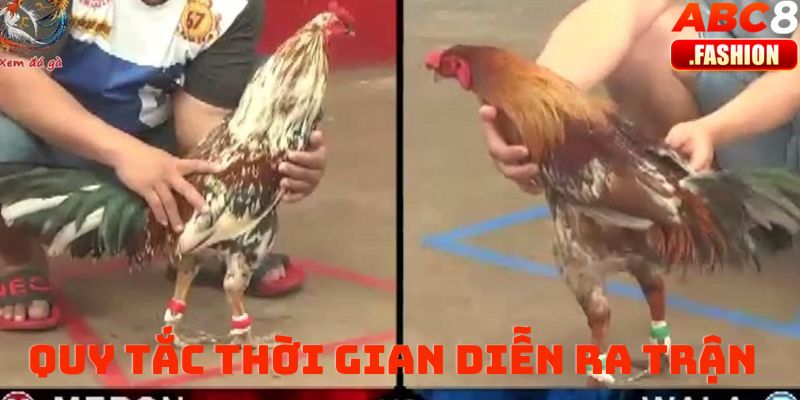 Quy tắc thời gian diễn ra trận